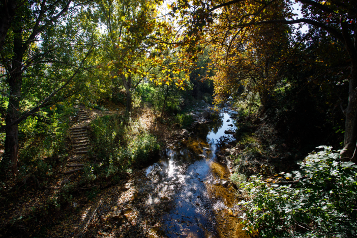 camí del riu