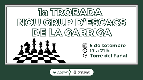 Poster "1st meeting of the chess group"