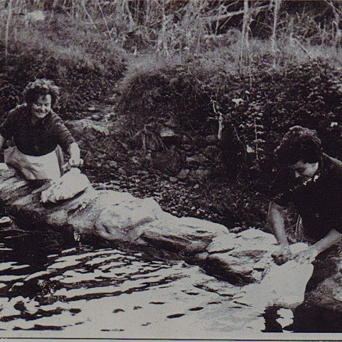 Dues dones netejant la roba