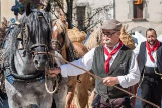 Primer pla de senyor portant un cavall