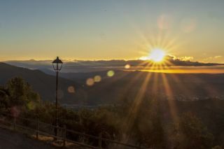 Sardanes Puiggraciós