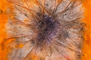 Painting 'Amb ulls clucs' by Tamara Ruz and Alba Ballús Galbany
