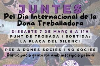 Poster for the First Walk Together