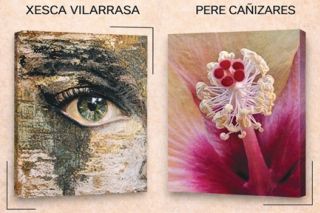 Cartell exposició 'Entre essències'