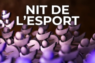 Sports Night Poster