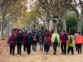 Photography of solidarity walk on the Passeig