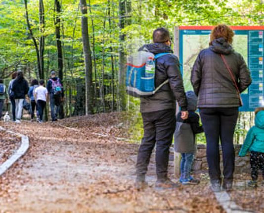 Passejades guiades al Montseny