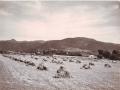 Camps de blat de can Terrers als anys 40 del segle XX. Fons Albert Roca Ruaix, Centre de Documentació Històrica de la Garriga