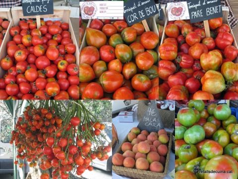 Tomates de varias especies expuestos en la Feria del Tomate