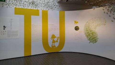  Exposición "Tú investigas!" al museo de Ciencias Naturales de Granollers