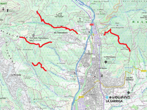 Camins
