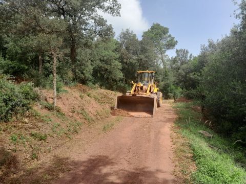 Neteja camins