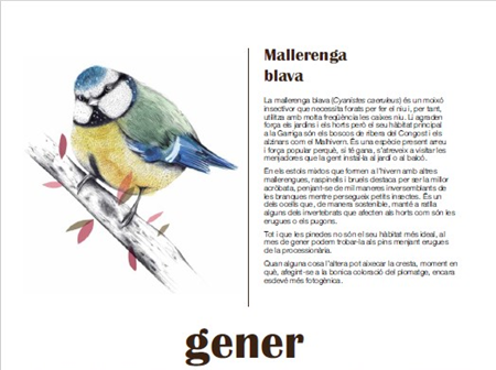 Calendari 2026, la Garriga