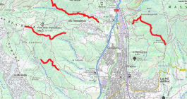 Camins