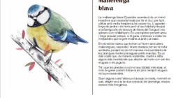 Calendari 2026, la Garriga