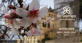 Fulletó 2n trimestre