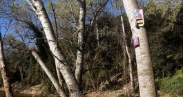 Imatge del riu Congost al seu pas per la Garriga