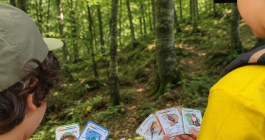 25reptes sostenibles