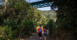Imatge petit tram camí la Garriga el Figaró
