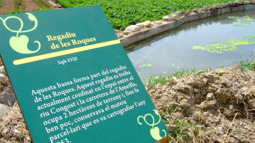 Regadiu de les Roques