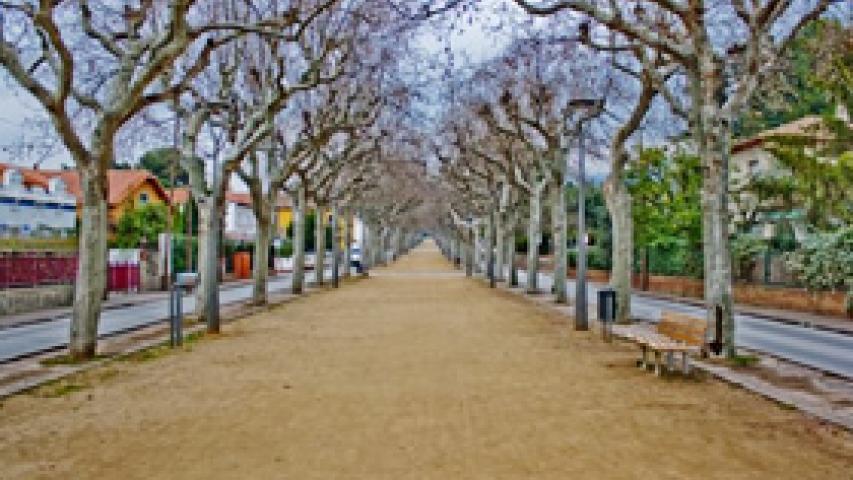 El passeig Foto: Pedro Garcia