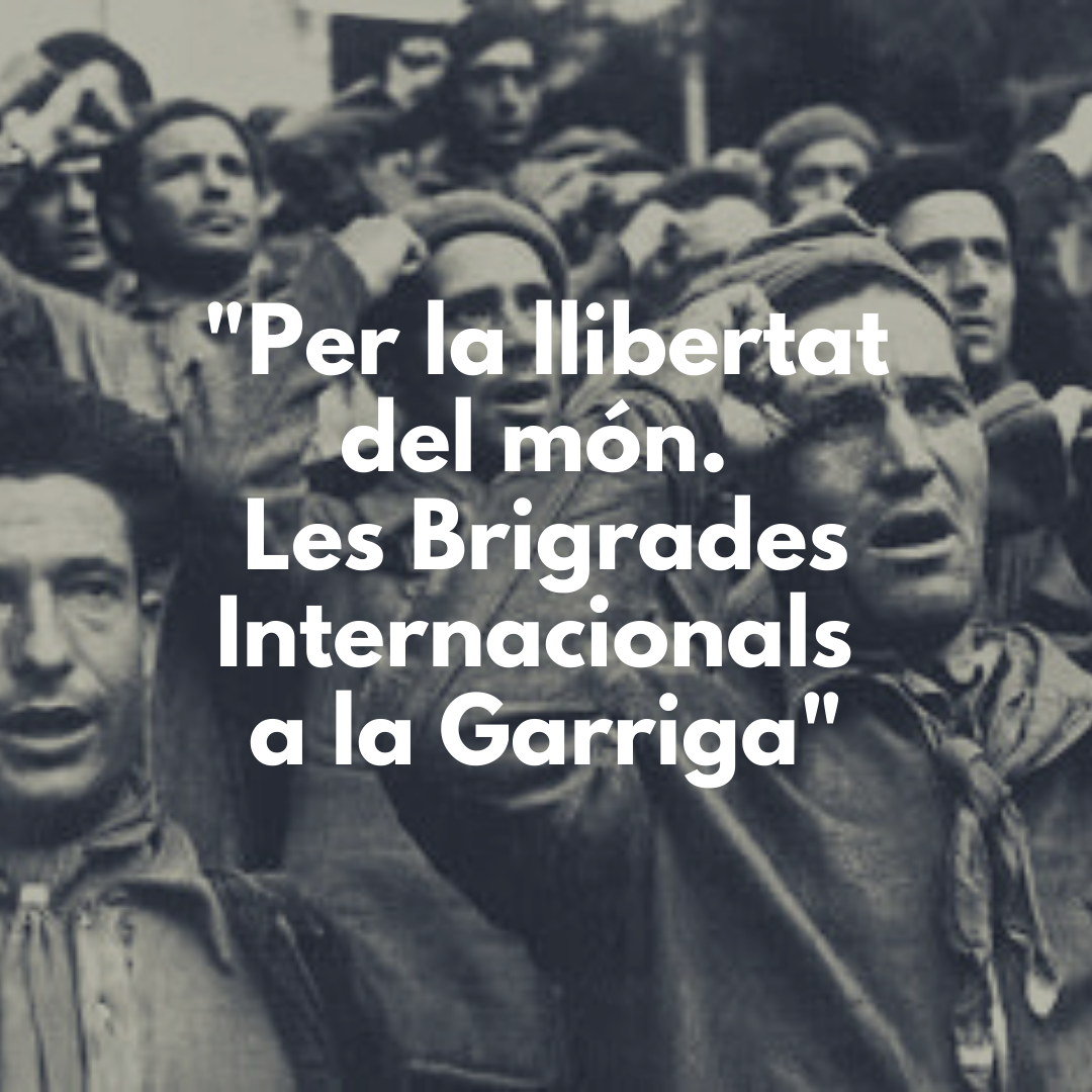 Ruta Brigades