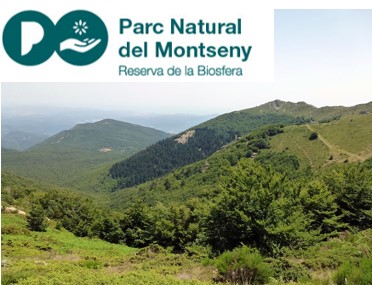  Passejades guiades al Montseny