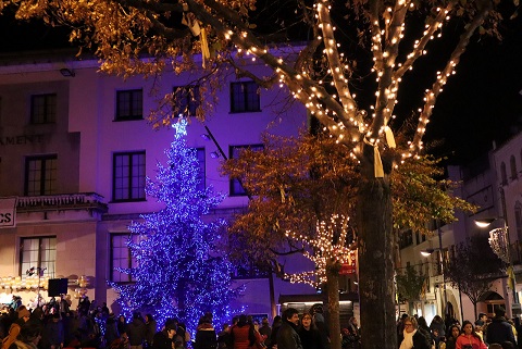 Arbre il·luminat i activitats de carrer