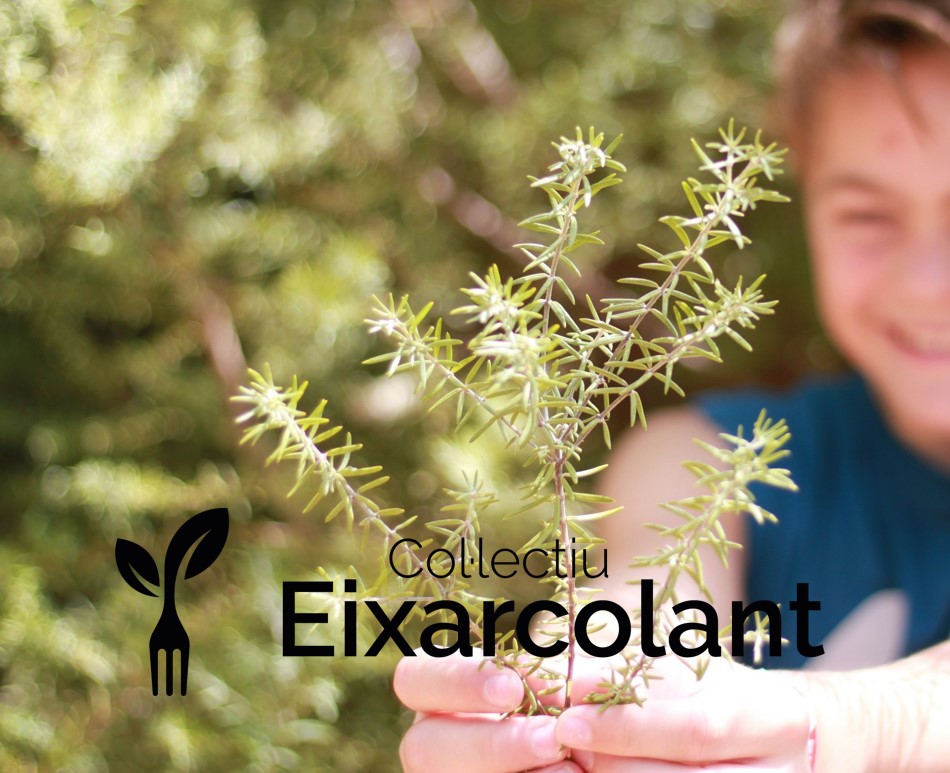 eixarcolant