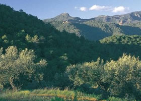 garriga-rural