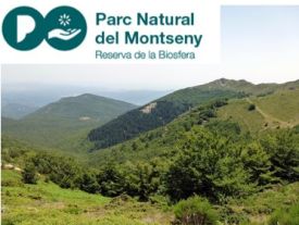 Passejades guiades al Montseny