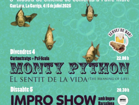 Cinema a l'aire lliure