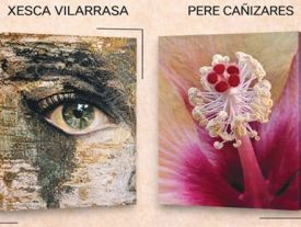 Cartell exposició 'Entre essències'