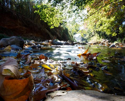 Riu, aigua, pedres i natura