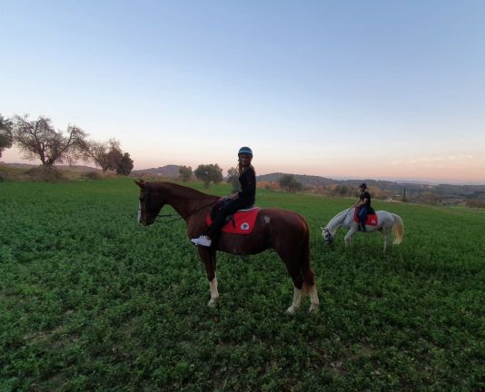 Paseo con caballos