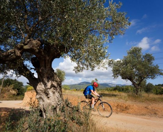 Tour à travers Malhivern, garçon à vélo avec montagne derrière