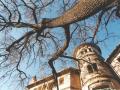 El Roure de l’Hostal. Foto: Esteve Mas Castells