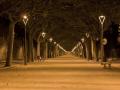 El Passeig Foto: Pedro Garcia