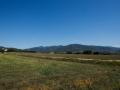 Campos de conreo de Rosanes