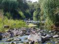 Paisatge de ribera al camí del riu Congost