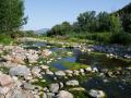 Paisatge de ribera al camí del riu Congost