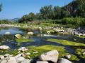 Paisatge de ribera al camí del riu Congost