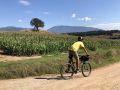 Jove en bicicleta i imatge de camps al costat