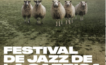 Fotos d'ovelles en un prat i festival de jazz