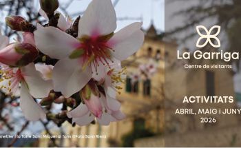 Fulletó 2n trimestre