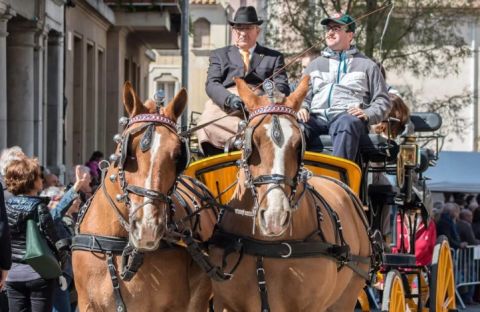 Foto carro de cavalls