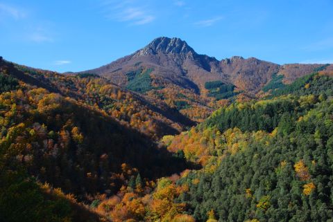 Vistas forestales del Parque Natural del Montseny