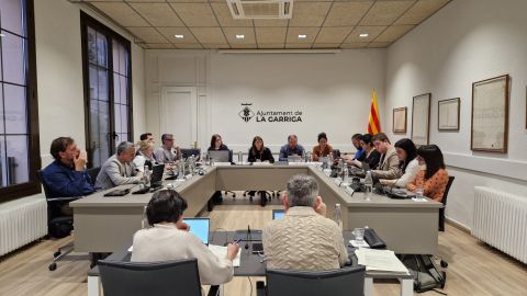 Ple de març