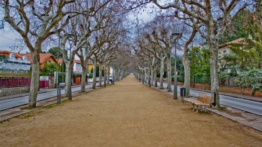El Passeig Foto: Pedro Garcia