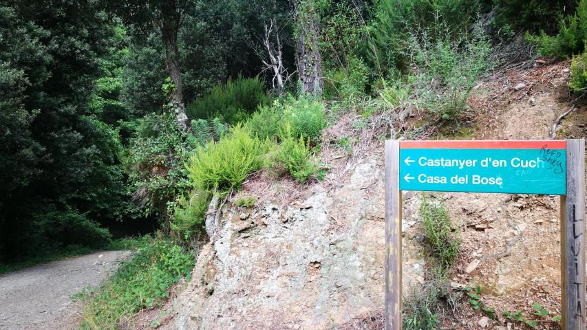 Senyalització